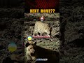 Wait for the Leopard’s Next Move 🐆💀