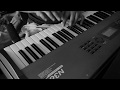 Nightwish - The Poet And The Pendulum (keyboard solo)