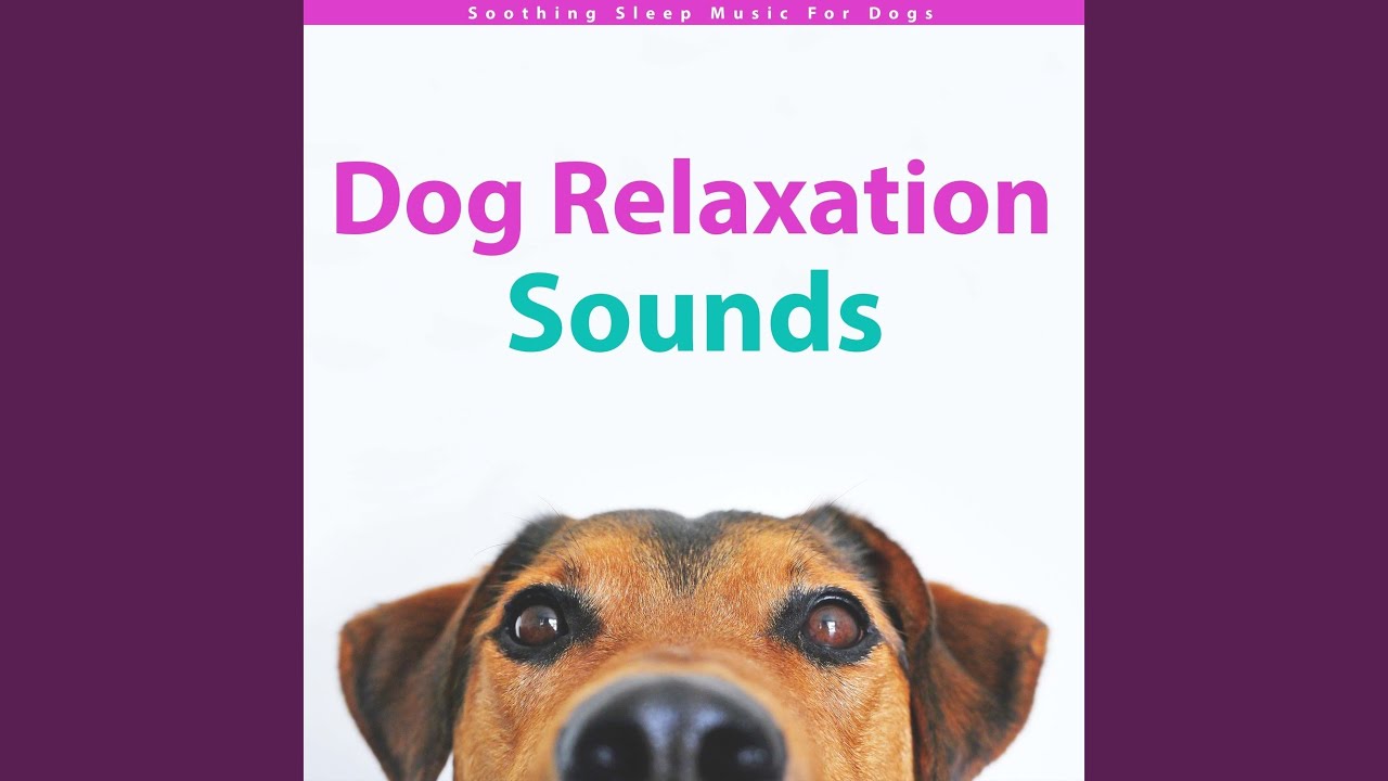 Wildlife Exploration