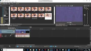 How To Make X Is So Weird On Vegas Pro