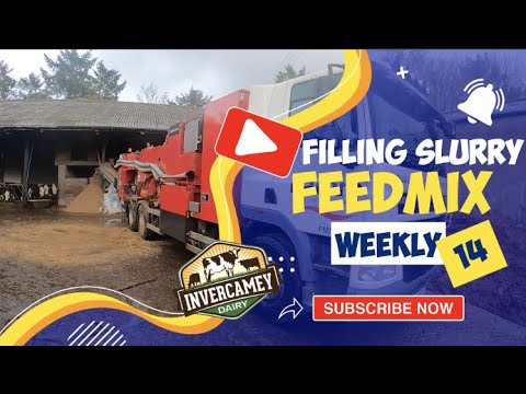 Filling slurry and Feedmix | Invercamey Weekly ep014