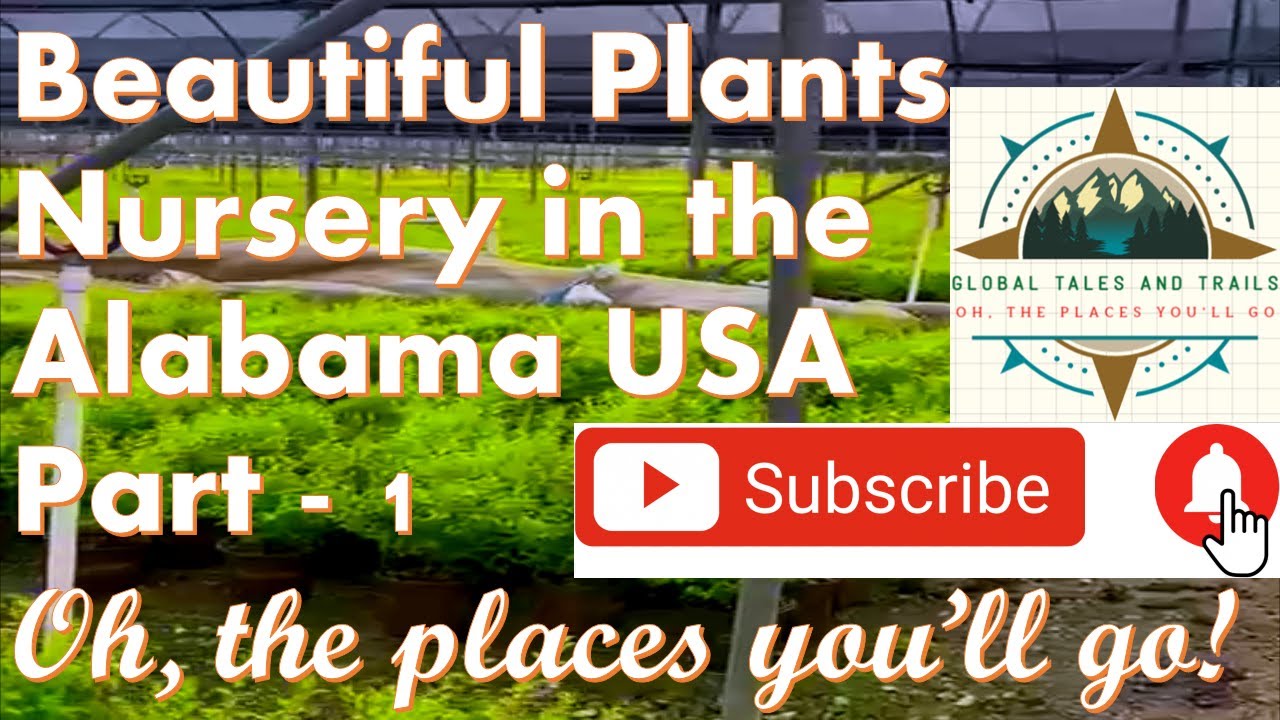 Plants Nursery in Alabama USA YouTube