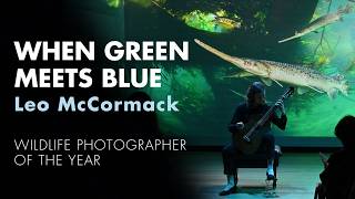'When Green Meets Blue' | New music inspired by Wildlife Photographer of the Year