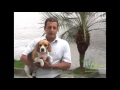 Cómo entrenar un perro Beagle - TvAgro por Juan Gonzalo Angel