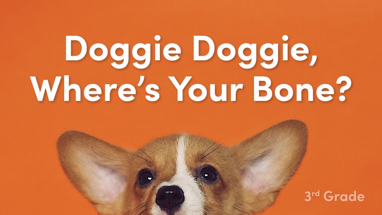 How Do You Play Doggie Wheres Your Bone how-do-you-play-doggie-wheres-your-bone