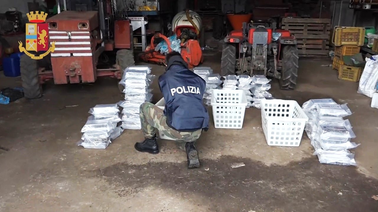 Gioia Tauro (Rc): arrestato Rocco Molè, sequestrati 537 kg di cocaina