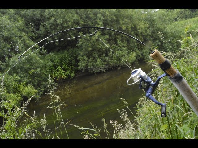 Catching BIG FISH on a Tiny Rod 