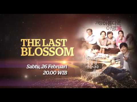 THE LAST BLOSSOM - Movie Mania Channel