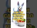 E SE UM CACHORRO VIRASSE VEGANO? - The Visible Dog  #cachorro #esqueleto #shorts