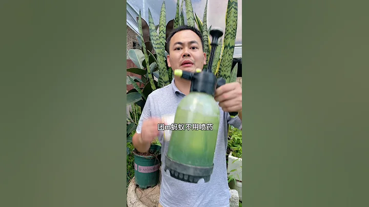 家里有蚂蚁不要乱喷，撒把粉轻松根除 - 天天要闻