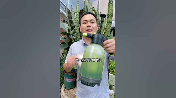 家里有蚂蚁不要乱喷，撒把粉轻松根除
