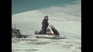 Researching wolverines in Northwest Alaska, circa 1980