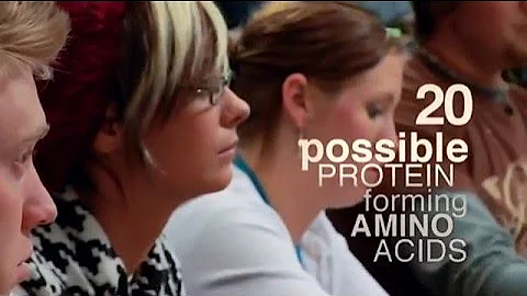 What is the probability of a functional protein existing by chance?