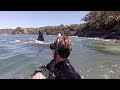 Swimming with orca in New Zealand