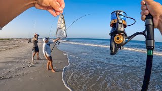 This is why you Always throw Cut bait SURF FISHING !