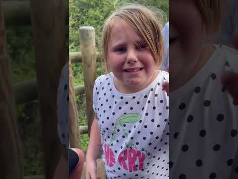 Flamingo Land Nervous