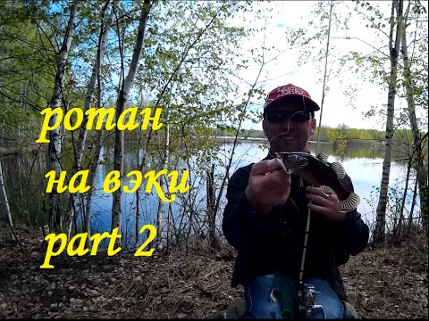 Ротан на "вэки". Продолжение.