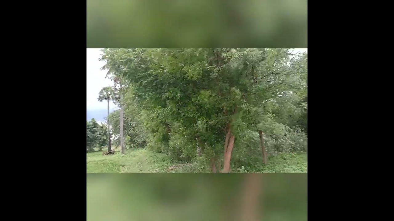 my-native-place-youtube