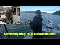 Screaming Drag!  97 lb Alaskan Halibut!  Halibut Fishing - Petersburg, Alaska!  AUGUST 2020