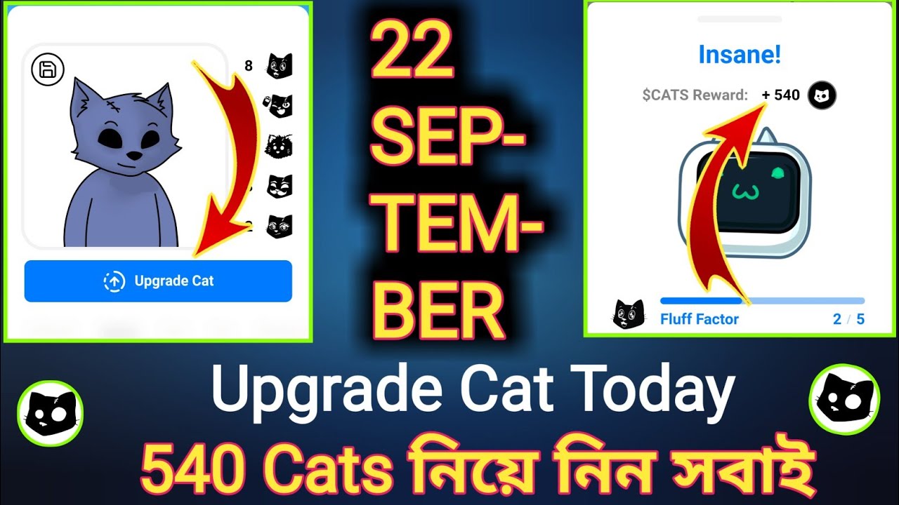 22 September upgrade cats | cat photo upload | cat avatar today - YouTube