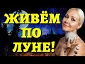 Когда ПОЛНОЛУНИЕ, НОВОЛУНИЕ в ФЕВРАЛЕ? Полный ЛУННЫЙ КАЛЕНДАРЬ на февраль 2022