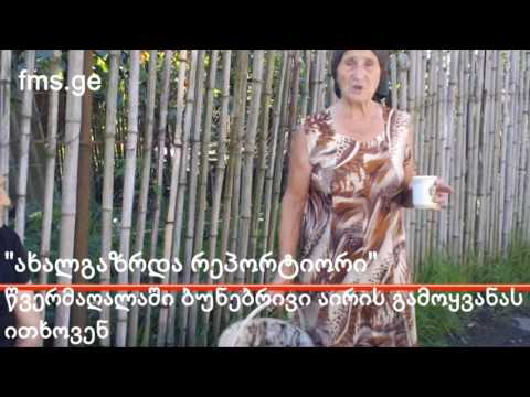 \"ახალგაზრდა რეპორტიორი\" – წვერმაღალაში მოსახლეობა პრობლემების მოგვარებას ითხოვს