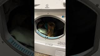 Dryer & Heater Combined!