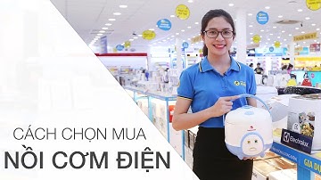 Cách chọn mua nồi cơm điện • Điện máy XANH