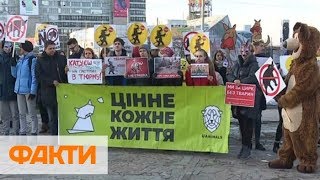 В Днепре зоозащитники протестуют против цирка братьев Гертнер