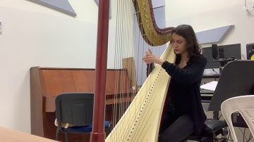 The Happy Farmer - R. Schumann  | Pedal Harp
