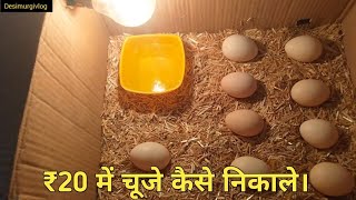 9 eggs hatching with out murgi। बल्ब से चूजा कैसे निकाले। Only 20 rupees ma