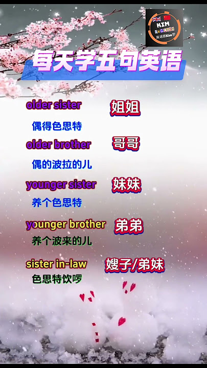 Kim's English | Speak English Easily – One Sentence at a Time! 英语口语看得见，英语易学易懂每天一小步也能懂！ #learnchinese