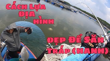 CÂU CÁ TRÁP ( HANH) HAY Ở, KHI ĐI CÂU BÈ. CÂU CÁ BIỂN- CÂU CÁ TRÊN LÀNG BÈ.