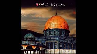 في القدس#شعر عن القدس#foryou #fyp #palestine #jerusalem #The Dome of the Rock