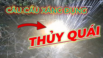 CHẠM TRÁN THỦY QUÁI Ở CẦU XÁNG HÓC MÔN ,#p60 youtube câu cá hóc môn