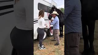 Vende el caballo frizon a escondidas! Esto se salio de control 🤭
