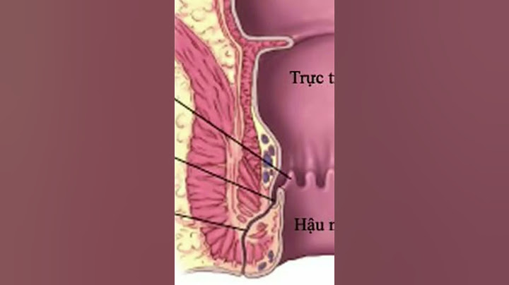 Hướng dẫn bài tập vẫy tay	Informational, Transactional