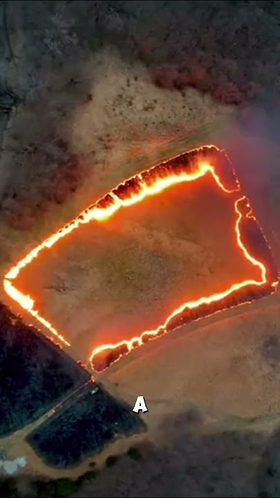 Fighting Fire with Fire