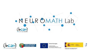 Neuromath Lab assembly at Basque Center for Applied Mathematics - BCAM