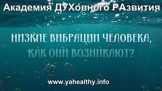 НИЗКИЕ ВИБРАЦИИ ЧЕЛОВЕКА, КАК ОНИ ВОЗНИКАЮТ? | система жива целительство | Обучение в Ростове НИЗКИЕ ВИБРАЦИИ ЧЕЛОВЕКА, КАК ОНИ ВОЗНИКАЮТ? | система жива целительство | Обучение в Ростове
