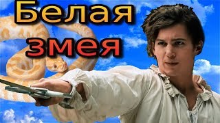 Белая змея. Супер сказка!