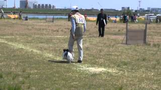 20130428115046 2)