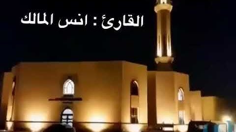 القارئ / انس المالك