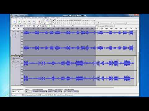 Video: Audacity Anden Lykke?