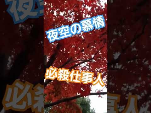 必殺仕事人 テーマ曲 Music Nature Travel