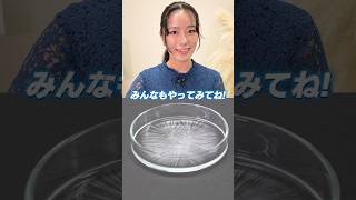 身近な材料で驚きの発見！面白い夏休み自由研究のアイデア