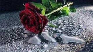 Hayal O Beni Öldürecek