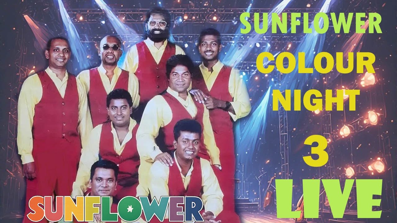 Sunflower Colour Night part 3