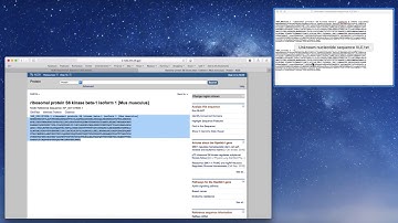 To retrieve amino acid sequences from the protein database using GenBank accession numbers