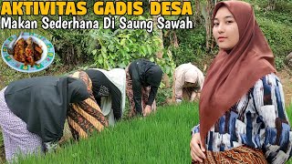 Aktivitas Gadis Desa Saat Sedang Di Sawah, Makan Sederhana di Saung || Indonesian Girl Rural Life